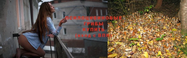 альфа пвп Верхнеуральск