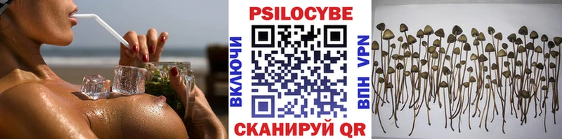 Галлюциногенные грибы Psilocybine cubensis  Купить  Мценск 
